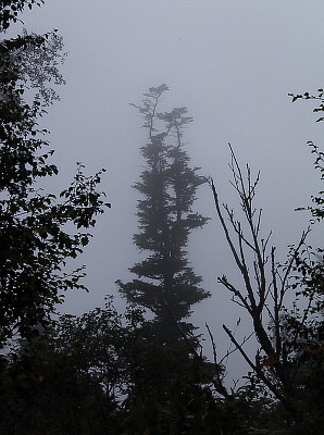 fototur_-__day_8_-_fog2.jpg